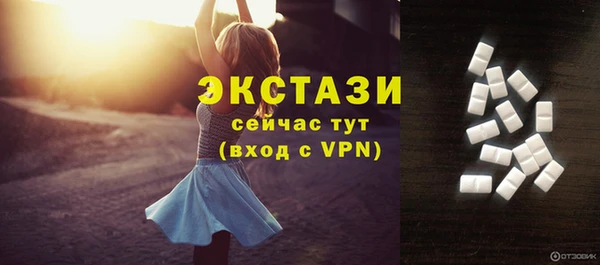 гидра Арсеньев