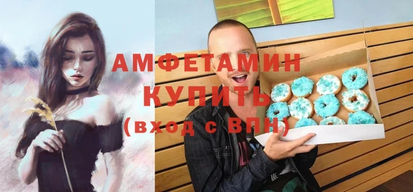 гидра Арсеньев