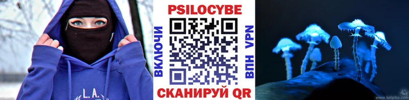 Псилоцибиновые грибы мицелий  Усть-Джегута 